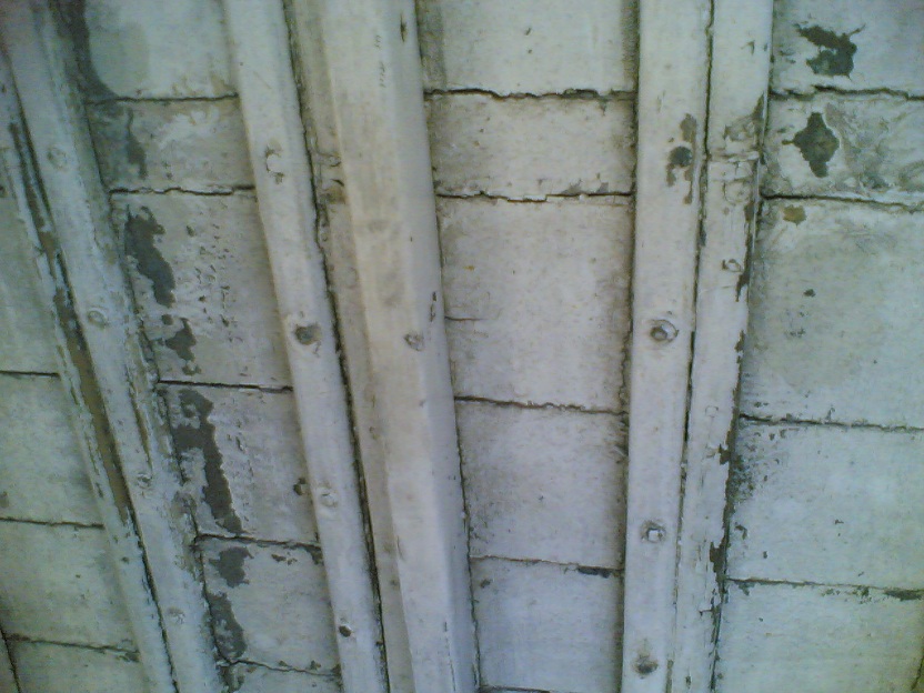 [Immagine: 201264225228_chiglia 04.jpg]